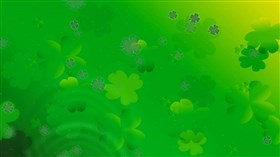 Lucky 4 Leaf Clovers