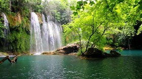 Waterfall Pond