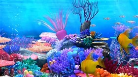 Colorful Aquarium CA3