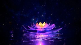 Magic Flower