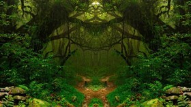 Amazon Rainforest