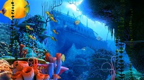 4K Coral Reef II
