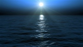 Ocean Nights
