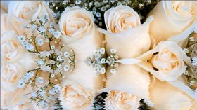 Rose Water