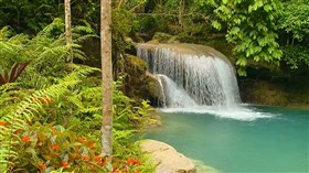 Tropical Falls