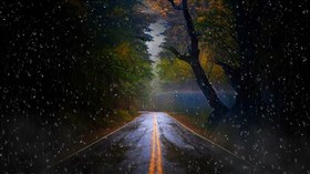 Rainy Road 2