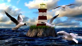 Lighthouse Gulls