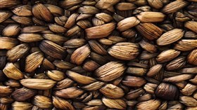 Bamboo Weave 4K