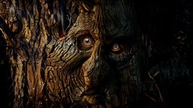 4K Tree Face