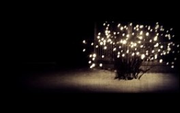 Night light