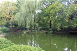 Botanic_Gardens