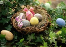 EasterNest
