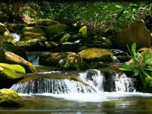 distant stream