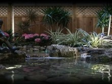 the kids pond