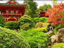 jap water garden