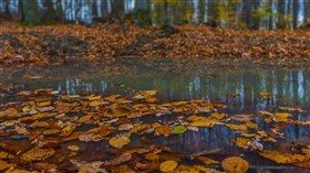 wet cold death (4k)