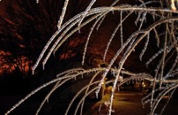 Icerain