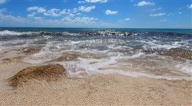Grand Turk Waves