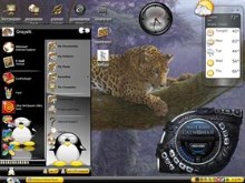 jag cat