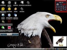 eagle cry1