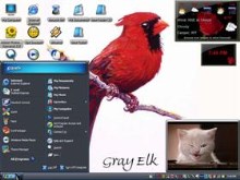 heres looking at you