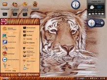 tiger in water