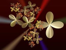 PetitePetals