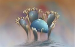 AtomicMushroom