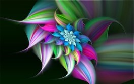 Summer Flower 2010 #summer10