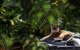 Tiger Orange