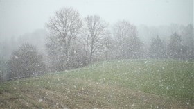 Foggy Snowy Day during Winter